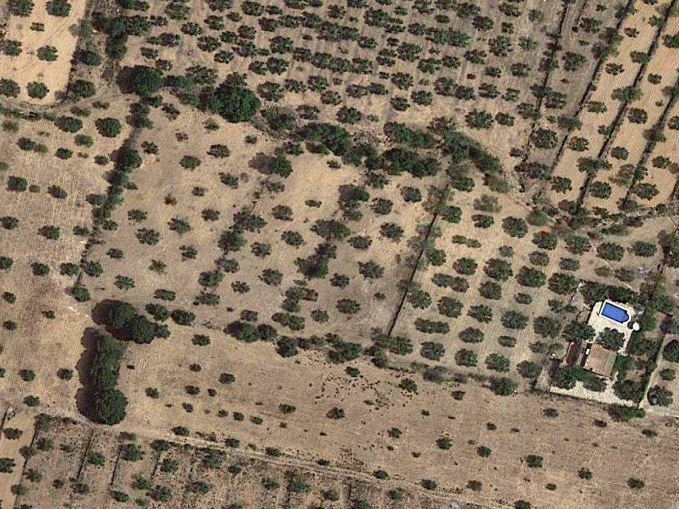 Gårdshus i Biar, Alicante - bilde 5